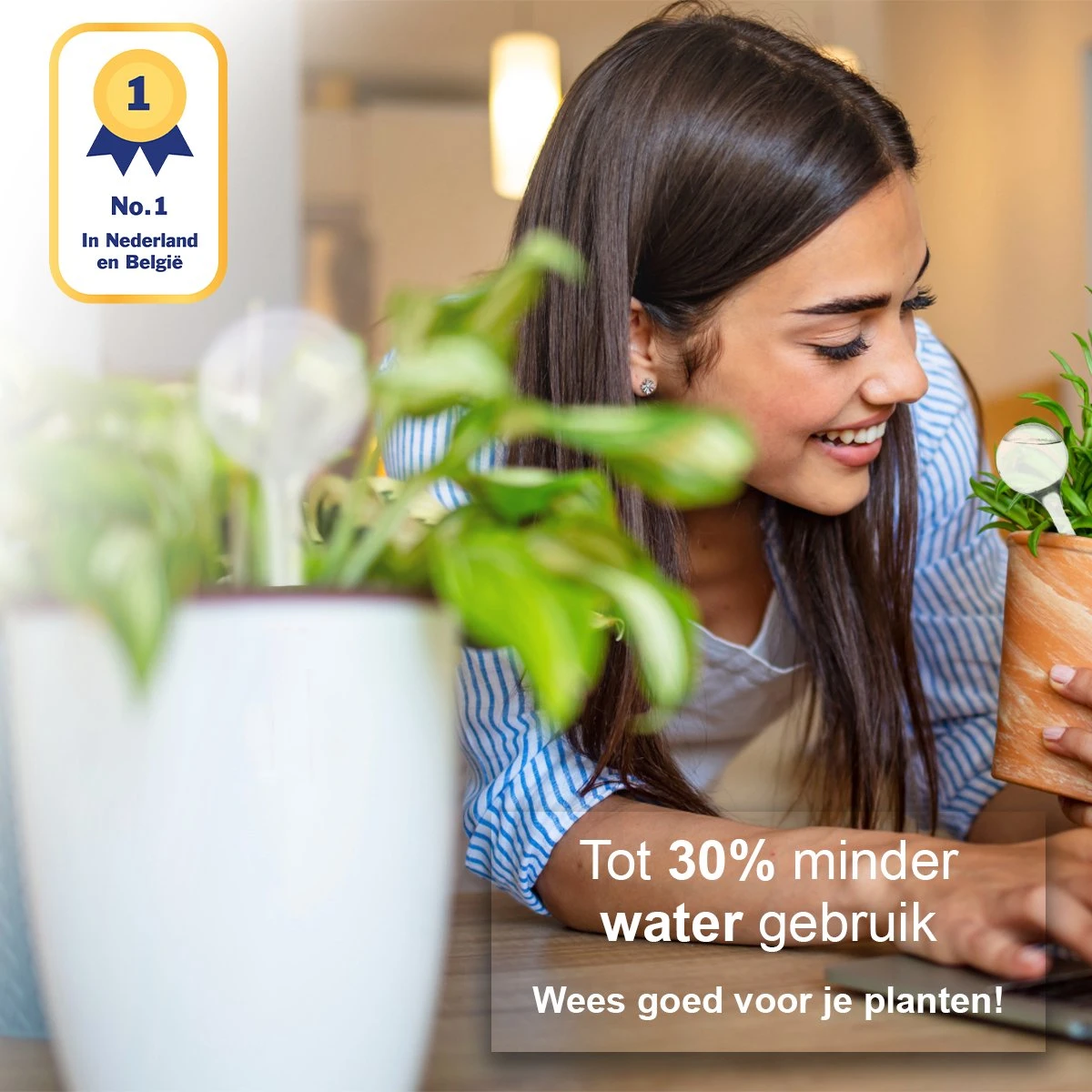 Waterdruppelaar Set Van 6 Stuks - Waterdruppelaar Voor Planten - Watergeefsysteem - Waterbol Irrigatiesysteem - Automatisch Druppelsysteem Voor Kamerplanten & Tuin - Watergever - Doorzichtig - 15cm 2 Waterdruppelaar Set Van 6 Stuks - Waterdruppelaar Voor Planten - Watergeefsysteem - Waterbol Irrigatiesysteem - Automatisch Druppelsysteem Voor Kamerplanten & Tuin - Watergever - Doorzichtig - 15cm - Afbeelding 2