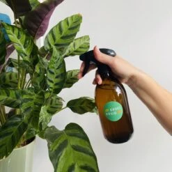 Groeikruid® Plantenspuit | 500 Ml Amber Glas | Met Zwarte Spraykop | Plantensproeier Binnen | Waterverstuiver | Verstuiver | Waterspuit -Tuinwinkel Voor Buitenartikelen 1200x1200 287