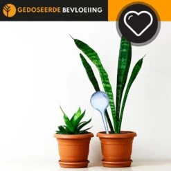 Waterdruppelaar Blauw Set Van 6 Stuks Voor Planten – 27 CM – Automatisch Watergeefsysteem Voor Kamerplanten – Planten Watergever Met Druppelsysteem – Waterbol 8 Waterdruppelaar Blauw Set Van 6 Stuks Voor Planten – 27 CM – Automatisch Watergeefsysteem Voor Kamerplanten – Planten Watergever Met Druppelsysteem – Waterbol -Tuinwinkel Voor Buitenartikelen 1200x1200 307