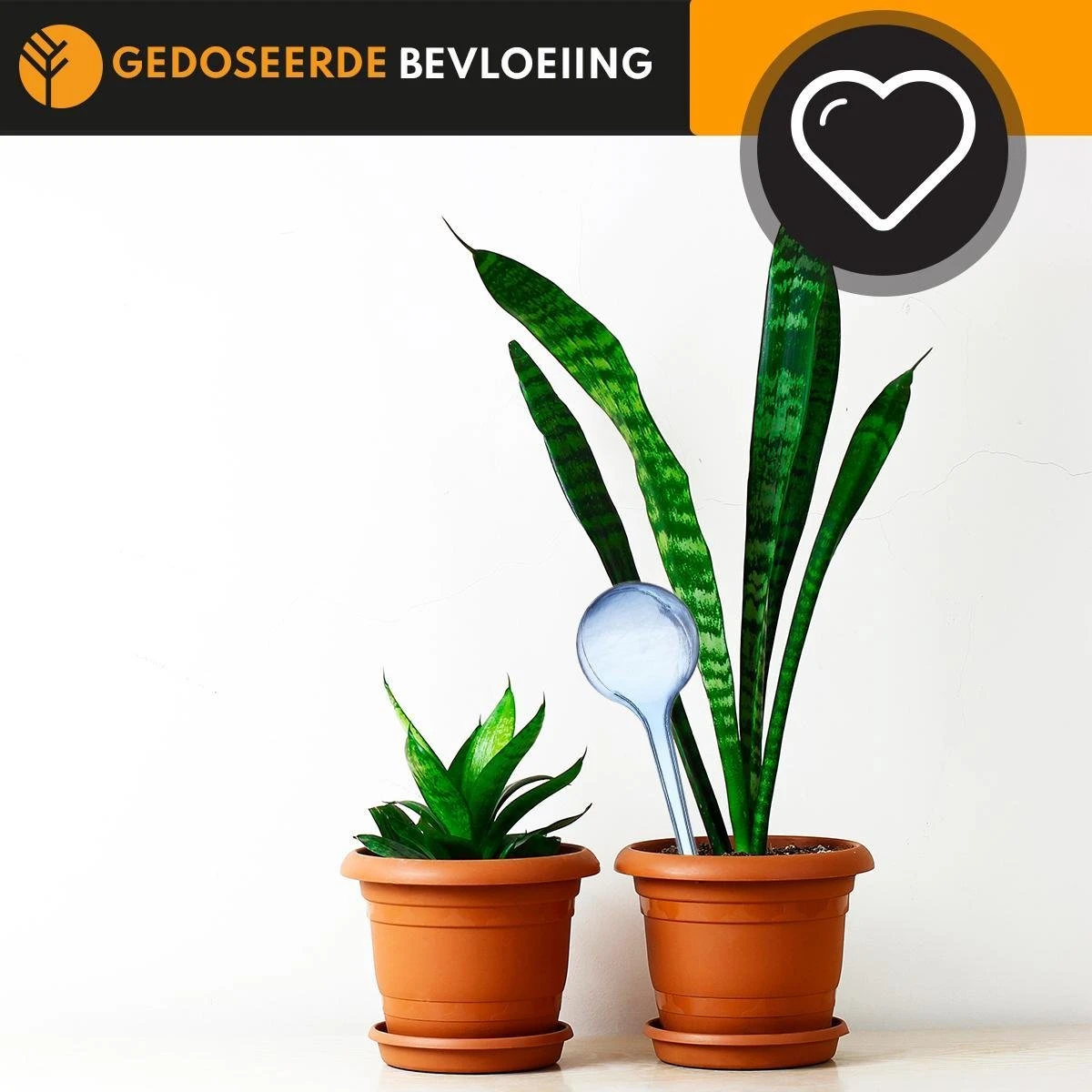 Waterdruppelaar Blauw Set Van 6 Stuks Voor Planten – 27 CM – Automatisch Watergeefsysteem Voor Kamerplanten – Planten Watergever Met Druppelsysteem – Waterbol 4 Waterdruppelaar Blauw Set Van 6 Stuks Voor Planten – 27 CM – Automatisch Watergeefsysteem Voor Kamerplanten – Planten Watergever Met Druppelsysteem – Waterbol - Afbeelding 4