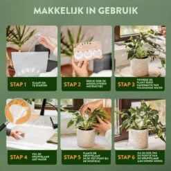 STFF & Co® Waterdruppelaar Voor Planten – Irrigatiesysteem Automatisch Watergeefsysteem – Waterbollen Voor Planten – Bewateringssysteem – 8 Stuks - 8cm 8 STFF & Co® Waterdruppelaar Voor Planten – Irrigatiesysteem Automatisch Watergeefsysteem – Waterbollen Voor Planten – Bewateringssysteem – 8 Stuks - 8cm -Tuinwinkel Voor Buitenartikelen 1200x1200 331