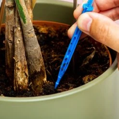 Woonaccessoires- Automatisch Watergeef Systeem | Plantenwaterer - Life Support Irrigatieapparaat | Druppelaar Kamerplanten - | Planten Watergever Met Druppelsysteem 350ml -Tuinwinkel Voor Buitenartikelen 1200x1200 342