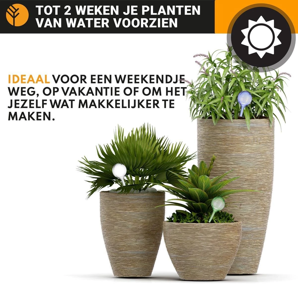 Waterdruppelaar Set Van 6 Stuks Voor Planten Transparant – 27 CM – Automatisch Watergeefsysteem Voor Kamerplanten – Planten Watergever Met Druppelsysteem – Waterbol 3 Waterdruppelaar Set Van 6 Stuks Voor Planten Transparant – 27 CM – Automatisch Watergeefsysteem Voor Kamerplanten – Planten Watergever Met Druppelsysteem – Waterbol - Afbeelding 3