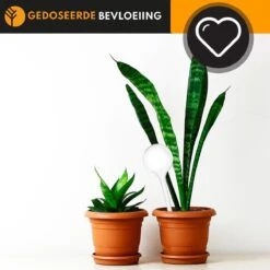 Waterdruppelaar Set Van 6 Stuks Voor Planten Transparant – 27 CM – Automatisch Watergeefsysteem Voor Kamerplanten – Planten Watergever Met Druppelsysteem – Waterbol 8 Waterdruppelaar Set Van 6 Stuks Voor Planten Transparant – 27 CM – Automatisch Watergeefsysteem Voor Kamerplanten – Planten Watergever Met Druppelsysteem – Waterbol -Tuinwinkel Voor Buitenartikelen 1200x1200 358