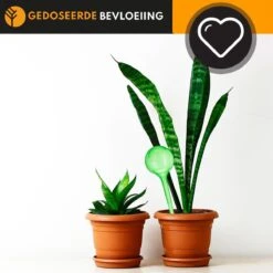 Waterdruppelaar Set Van 6 Stuks Voor Planten – 27 CM – Automatisch Watergeefsysteem Voor Kamerplanten – Planten Watergever Met Druppelsysteem – Waterbol 9 Waterdruppelaar Set Van 6 Stuks Voor Planten – 27 CM – Automatisch Watergeefsysteem Voor Kamerplanten – Planten Watergever Met Druppelsysteem – Waterbol -Tuinwinkel Voor Buitenartikelen 1200x1200 362