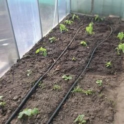 Druppelslang Actiepakket 100 Meter - Leidingshop 5 Druppelslang Actiepakket 100 Meter - Leidingshop -Tuinwinkel Voor Buitenartikelen 1200x1200 379