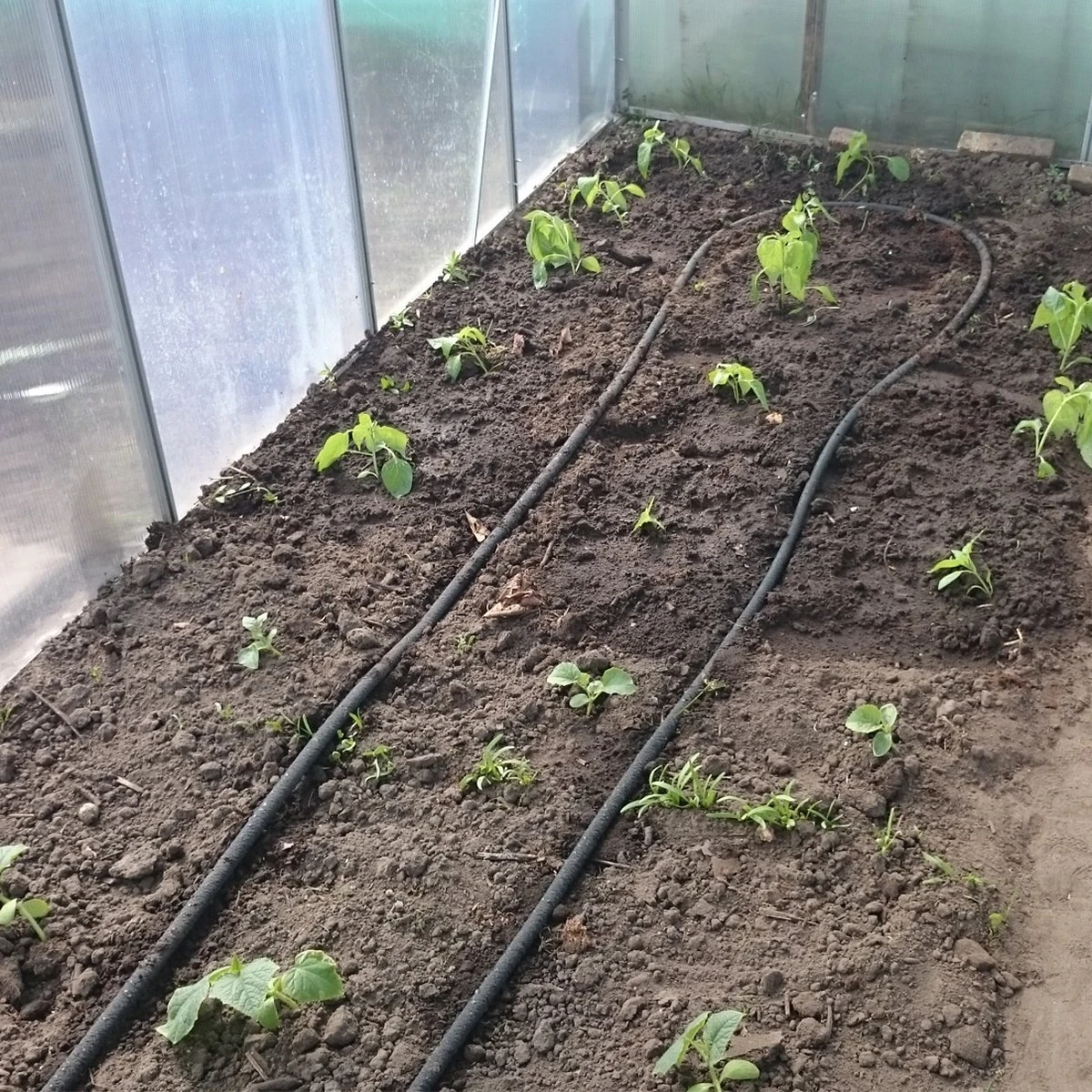 Druppelslang Actiepakket 100 Meter - Leidingshop 3 Druppelslang Actiepakket 100 Meter - Leidingshop - Afbeelding 3