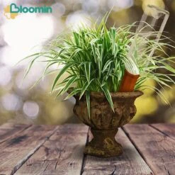 Bloomin Waterdruppelaar Van Terracotta - Waterdruppelaar Voor Planten - Druppelsysteem - Irrigatiesysteem - Watergeefsysteem - Bewateringssysteem - 8 Stuks -Tuinwinkel Voor Buitenartikelen 1200x1200 388