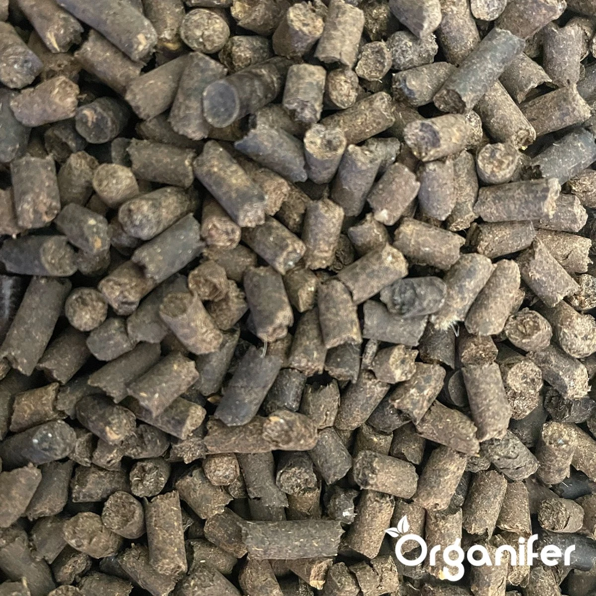 Koemestkorrels 3in1 (20Kg Voor 200m2) Allround Organische Meststof - Direct Opneembare Voeding - Langdurige Werking > 120 Dagen - Geurloos - Verbeterd Bodem - Lavameel Toevoeging - Versterkt Gras En Planten - Organifer 2 Koemestkorrels 3in1 (20Kg Voor 200m2) Allround Organische Meststof - Direct Opneembare Voeding - Langdurige Werking > 120 Dagen - Geurloos - Verbeterd Bodem - Lavameel Toevoeging - Versterkt Gras En Planten - Organifer - Afbeelding 2