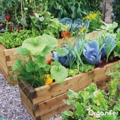 Koemestkorrels 3in1 (20Kg Voor 200m2) Allround Organische Meststof - Direct Opneembare Voeding - Langdurige Werking > 120 Dagen - Geurloos - Verbeterd Bodem - Lavameel Toevoeging - Versterkt Gras En Planten - Organifer 14 Koemestkorrels 3in1 (20Kg Voor 200m2) Allround Organische Meststof - Direct Opneembare Voeding - Langdurige Werking > 120 Dagen - Geurloos - Verbeterd Bodem - Lavameel Toevoeging - Versterkt Gras En Planten - Organifer -Tuinwinkel Voor Buitenartikelen 1200x1200 500