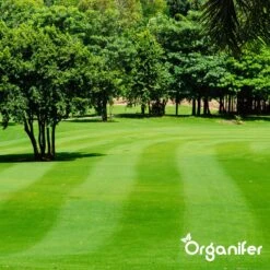 IJzersulfaat Meststof – Mos Verwijderaar – 5kg -Voor 250m2 (organifer) 18 IJzersulfaat Meststof – Mos Verwijderaar – 5kg -Voor 250m2 (organifer) -Tuinwinkel Voor Buitenartikelen 1200x1200 520