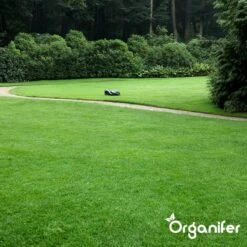 IJzersulfaat Meststof – Mos Verwijderaar – 5kg -Voor 250m2 (organifer) 21 IJzersulfaat Meststof – Mos Verwijderaar – 5kg -Voor 250m2 (organifer) -Tuinwinkel Voor Buitenartikelen 1200x1200 523