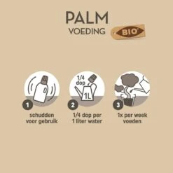 Pokon Bio Palm Voeding - 250ml - Plantenvoeding (bio) - 7ml Per 1L Water -Tuinwinkel Voor Buitenartikelen 1200x1200 529