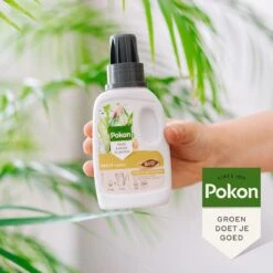 Pokon Bio Palm Voeding - 250ml - Plantenvoeding (bio) - 7ml Per 1L Water -Tuinwinkel Voor Buitenartikelen 1200x1200 530