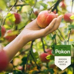 Pokon Bio Fruitbomen Mest - 1kg - Meststof (biologisch) - 120 Dagen Voeding -Tuinwinkel Voor Buitenartikelen 1200x1200 532