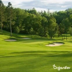 Kalk Korrel Meststof Verrijkt Met Magnesium (5Kg - Voor 100m2) Voor Dieper Bladgroen (+PH) Speciaal Voor Gazon, Perken, Moestuin En Openbaar Groen - Organifer 23 Kalk Korrel Meststof Verrijkt Met Magnesium (5Kg - Voor 100m2) Voor Dieper Bladgroen (+PH) Speciaal Voor Gazon, Perken, Moestuin En Openbaar Groen - Organifer -Tuinwinkel Voor Buitenartikelen 1200x1200 560