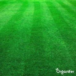 Kalk Korrel Meststof Verrijkt Met Magnesium (5Kg - Voor 100m2) Voor Dieper Bladgroen (+PH) Speciaal Voor Gazon, Perken, Moestuin En Openbaar Groen - Organifer 28 Kalk Korrel Meststof Verrijkt Met Magnesium (5Kg - Voor 100m2) Voor Dieper Bladgroen (+PH) Speciaal Voor Gazon, Perken, Moestuin En Openbaar Groen - Organifer -Tuinwinkel Voor Buitenartikelen 1200x1200 565