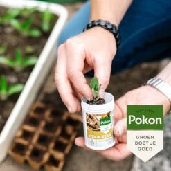 Pokon Stekpoeder - 25gr - Stimuleert Wortelvorming 9 Pokon Stekpoeder - 25gr - Stimuleert Wortelvorming -Tuinwinkel Voor Buitenartikelen 1200x1200 577