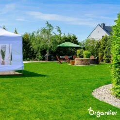 Gazonmest All-In-One (5Kg - Voor 100m2) Voor Een Diepgroen Sterk Gazon Zonder Mos En Onkruid - Complete Meststof Met Kalk En Grasversterker - Organifer 22 Gazonmest All-In-One (5Kg - Voor 100m2) Voor Een Diepgroen Sterk Gazon Zonder Mos En Onkruid - Complete Meststof Met Kalk En Grasversterker - Organifer -Tuinwinkel Voor Buitenartikelen 1200x1200 583