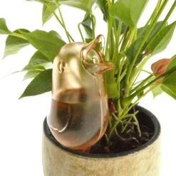 JS Drippy - Waterdruppelaars Set Van 2 Stuks - Druppelaar Vogel - Druppelsysteem Planten - Watergeefsysteem Kamerplanten - Waterbol - Roze -Tuinwinkel Voor Buitenartikelen 1200x1200 59