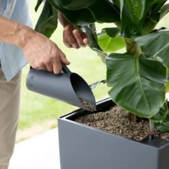 LECHUZA-PON 18 Liter - Hoogwaardig, Mineraal Plantensubstraat 7 LECHUZA-PON 18 Liter - Hoogwaardig, Mineraal Plantensubstraat -Tuinwinkel Voor Buitenartikelen 1200x1200 599