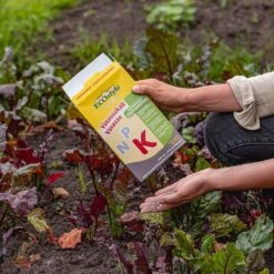 ECOStyle Vinassekali Organische Meststof - Vuor Kaliumtekort - Voor Moestuin, Siertuin En Fruit - Hoger Weerstand Tegen Droogte & Vorst - 15M² - 800 GR -Tuinwinkel Voor Buitenartikelen 1200x1200 608