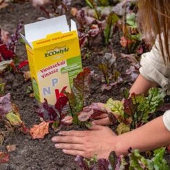 ECOStyle Vinassekali Organische Meststof - Vuor Kaliumtekort - Voor Moestuin, Siertuin En Fruit - Hoger Weerstand Tegen Droogte & Vorst - 15M² - 800 GR -Tuinwinkel Voor Buitenartikelen 1200x1200 609