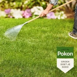 Pokon Gazonmest Met Kalk - 16,8kg - Mest - Geschikt Voor 250m² - 120 Dagen Voeding 12 Pokon Gazonmest Met Kalk - 16,8kg - Mest - Geschikt Voor 250m² - 120 Dagen Voeding -Tuinwinkel Voor Buitenartikelen 1200x1200 611
