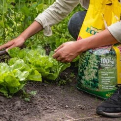ECOStyle Moestuinmest Voor Eetbare Gewassen - Voor Fruit En Moestuin - Rijk Aan Kalium - 120 Dagen Voeding - 80 M² - 8 KG -Tuinwinkel Voor Buitenartikelen 1200x1200 615