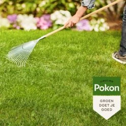 Pokon Gazonmest Met Kalk - 2 X 5kg - Mest - Geschikt Voor 2 X 75m² - 120 Dagen Voeding - Voordeelverpakking -Tuinwinkel Voor Buitenartikelen 1200x1200 626