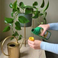 Pokon Kamerplanten Voeding - 500ml - Plantenvoeding - 20ml Per 1L Water -Tuinwinkel Voor Buitenartikelen 1200x1200 630