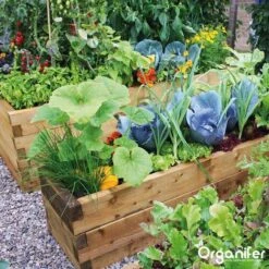 Kalk Korrel Meststof Verrijkt Met Magnesium (20Kg - Voor 400m2) Voor Dieper Bladgroen (+PH) Speciaal Voor Gazon, Perken, Moestuin En Openbaar Groen - Organifer -Tuinwinkel Voor Buitenartikelen 1200x1200 645