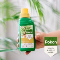 Pokon Palm Voeding - 250ml - Plantenvoeding - 10ml Per 1L Water -Tuinwinkel Voor Buitenartikelen 1200x1200 650