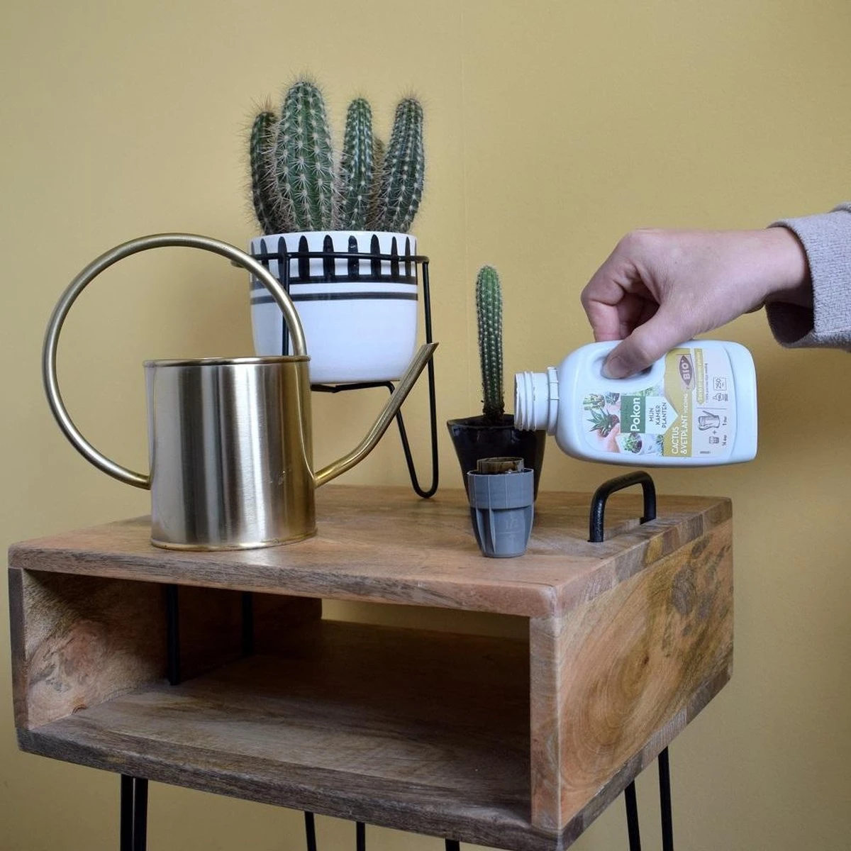 Pokon Bio Cactus & Vetplant Voeding - 250ml - Plantenvoeding (bio) - 7ml Per 1L Water 6 Pokon Bio Cactus & Vetplant Voeding - 250ml - Plantenvoeding (bio) - 7ml Per 1L Water - Afbeelding 6