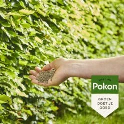 Pokon Beuken & Hagen Mest - 2,5kg - Meststof - 3-in-1 Werking 12 Pokon Beuken & Hagen Mest - 2,5kg - Meststof - 3-in-1 Werking -Tuinwinkel Voor Buitenartikelen 1200x1200 669