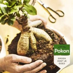 Pokon Bonsai Voeding - 250ml - Plantenvoeding - 10ml Per 1L Water -Tuinwinkel Voor Buitenartikelen 1200x1200 673