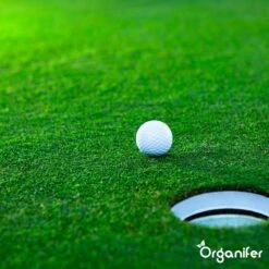 Gazonmest All-In-One (10Kg - Voor 200m2) Voor Een Diepgroen Sterk Gazon Zonder Mos En Onkruid - Complete Meststof Met Kalk En Grasversterker - Organifer 27 Gazonmest All-In-One (10Kg - Voor 200m2) Voor Een Diepgroen Sterk Gazon Zonder Mos En Onkruid - Complete Meststof Met Kalk En Grasversterker - Organifer -Tuinwinkel Voor Buitenartikelen 1200x1200 706