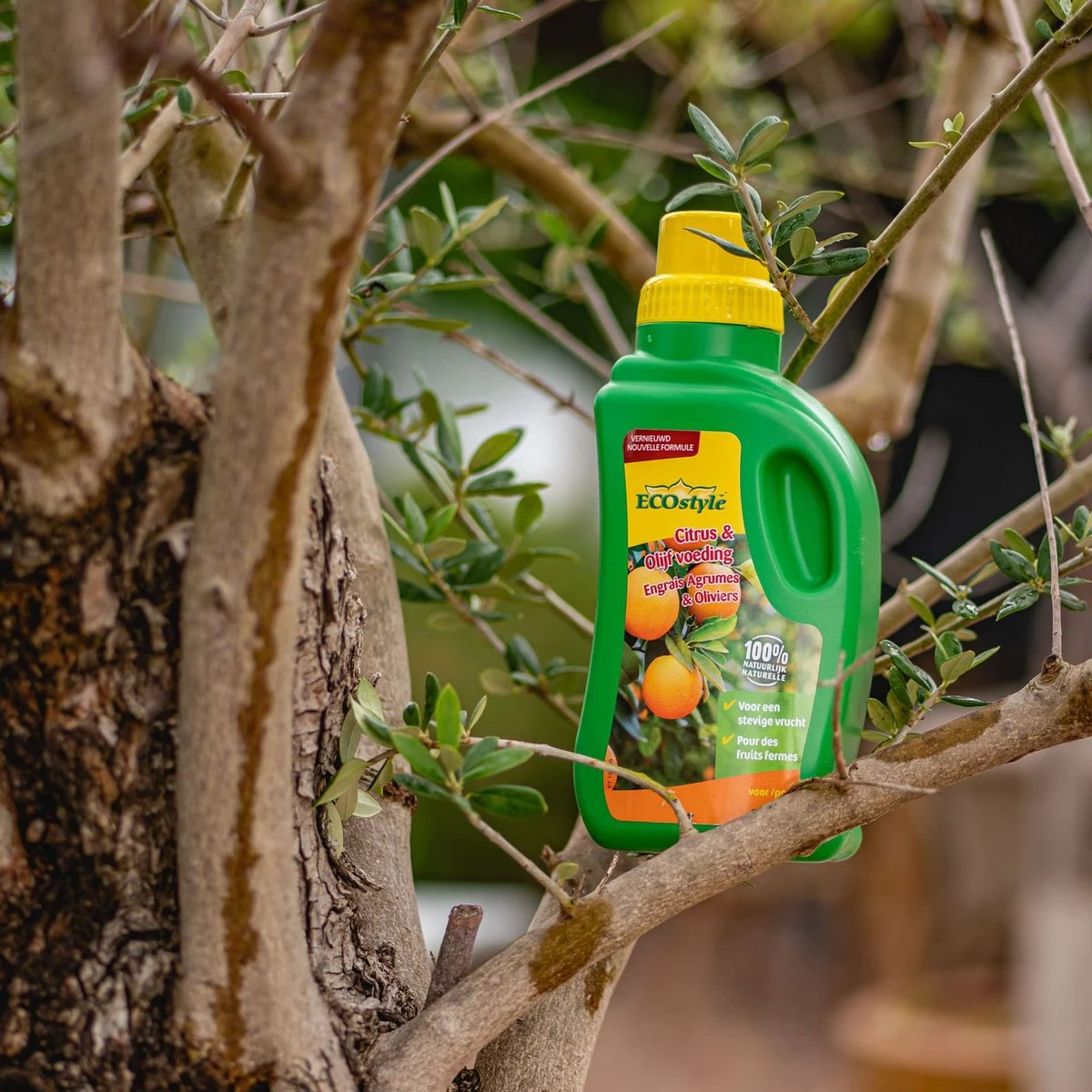 ECOstyle Citrus & Olijf Voeding - Stevige Vrucht - Langdurige Werking - Voor Alle Mediterrane Planten En Bomen 500 ML 2 ECOstyle Citrus & Olijf Voeding - Stevige Vrucht - Langdurige Werking - Voor Alle Mediterrane Planten En Bomen 500 ML - Afbeelding 2
