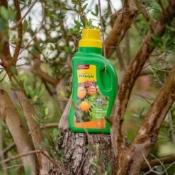 ECOstyle Citrus & Olijf Voeding - Stevige Vrucht - Langdurige Werking - Voor Alle Mediterrane Planten En Bomen 500 ML 6 ECOstyle Citrus & Olijf Voeding - Stevige Vrucht - Langdurige Werking - Voor Alle Mediterrane Planten En Bomen 500 ML -Tuinwinkel Voor Buitenartikelen 1200x1200 710