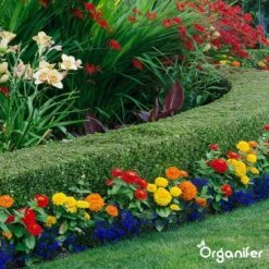 Lavagruis Uit Eifel Oergesteente (20Kg Voor 200m2) Grof Lavameel 0-2mm - Organifer -Tuinwinkel Voor Buitenartikelen 1200x1200 724