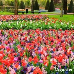 Lavagruis Uit Eifel Oergesteente (20Kg Voor 200m2) Grof Lavameel 0-2mm - Organifer -Tuinwinkel Voor Buitenartikelen 1200x1200 725