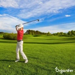 Lavagruis Uit Eifel Oergesteente (20Kg Voor 200m2) Grof Lavameel 0-2mm - Organifer -Tuinwinkel Voor Buitenartikelen 1200x1200 726