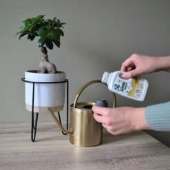 Pokon Bio Bonsai Voeding - 250ml - Plantenvoeding (bio) - 7ml Per 1L Water 13 Pokon Bio Bonsai Voeding - 250ml - Plantenvoeding (bio) - 7ml Per 1L Water -Tuinwinkel Voor Buitenartikelen 1200x1200 740