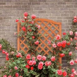 Relaxdays Plantenbak Met Klimrek - Bloembak Trellis - Rankhulp Hout - Voor Klimplanten -Tuinwinkel Voor Buitenartikelen 1200x1200 764