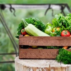 Relaxdays Kweekkas Pvc Met 2 Deuren - Lage Foliekas - Kleine Tuinkas - Plantenkas Tuin -Tuinwinkel Voor Buitenartikelen 1200x1200 791