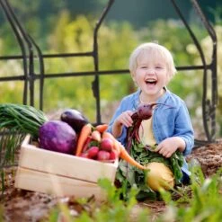 Relaxdays Kweekkas Pvc Met 2 Deuren - Lage Foliekas - Kleine Tuinkas - Plantenkas Tuin -Tuinwinkel Voor Buitenartikelen 1200x1200 792