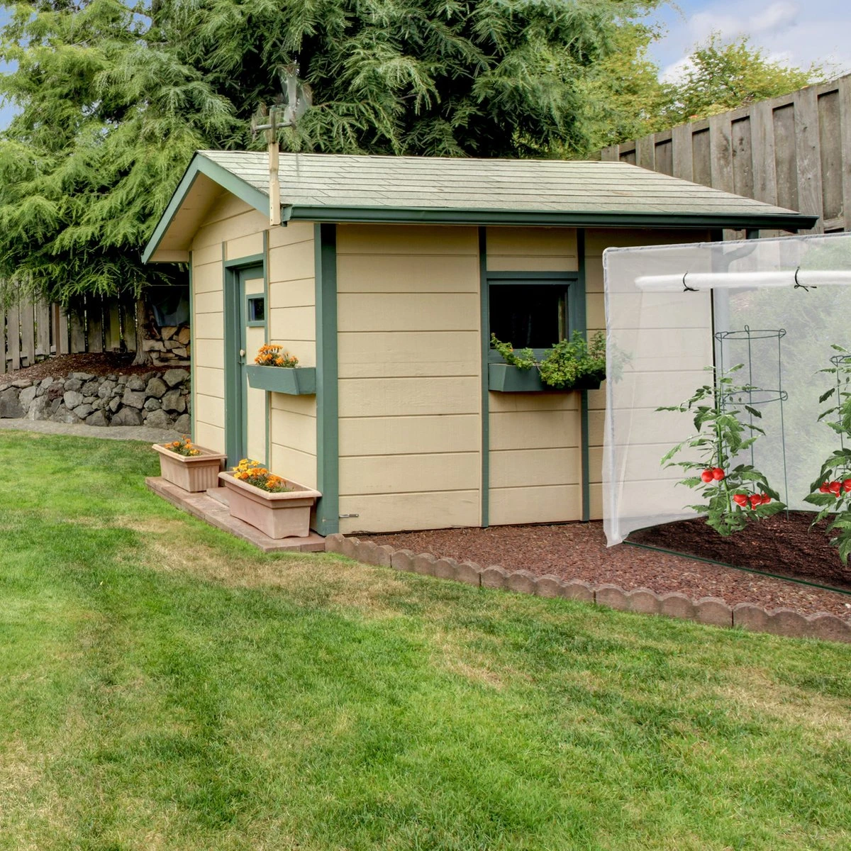 Relaxdays Tomatenkas XL - Met Schuin Dak - Kweekkas Voor Tomaten - Plastic Serre 7 Relaxdays Tomatenkas XL - Met Schuin Dak - Kweekkas Voor Tomaten - Plastic Serre - Afbeelding 7