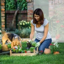 Relaxdays Tomatenkas XL - Met Schuin Dak - Kweekkas Voor Tomaten - Plastic Serre 16 Relaxdays Tomatenkas XL - Met Schuin Dak - Kweekkas Voor Tomaten - Plastic Serre -Tuinwinkel Voor Buitenartikelen 1200x1200 802