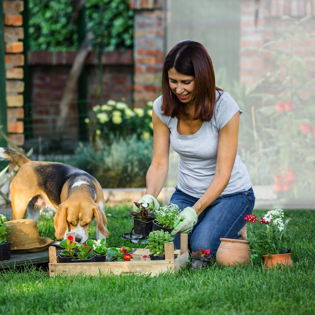 Relaxdays Tomatenkas XL - Met Schuin Dak - Kweekkas Voor Tomaten - Plastic Serre 8 Relaxdays Tomatenkas XL - Met Schuin Dak - Kweekkas Voor Tomaten - Plastic Serre - Afbeelding 8