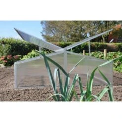 Royal Well Broeikas Silver Thyme -Tuinwinkel Voor Buitenartikelen 1200x1200 845
